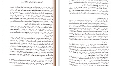دانلود پی دی اف کتاب زندگی های پنهان درون گرایان جن گرانمن PDF