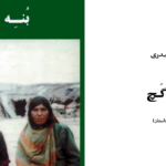 دانلود پی دی اف کتاب بنه گچ بهرام حیدری PDF