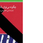 دانلود پی دی اف کتاب چگونه می توان یک کشور را دزدید؟ بهمن عمویی PDF