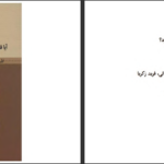 دانلود پی دی اف کتاب آیا قرن بیست و یکم به چین تعلق دارد نیل فرگوسن PDF