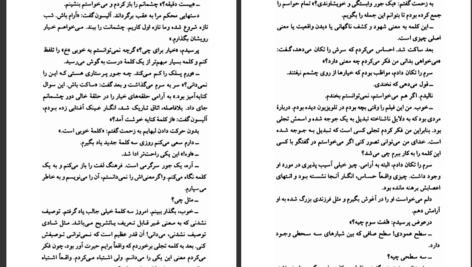 دانلود پی دی اف کتاب نجواها و دروغ ها جوی فیلدینگ PDF