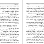 دانلود پی دی اف کتاب انسان خوب پرل باک PDF