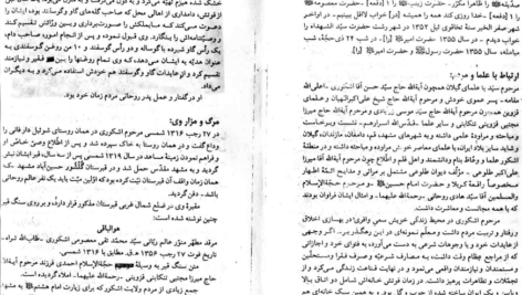 دانلود پی دی اف کتاب دو چوب و یک سنگ 1 PDF