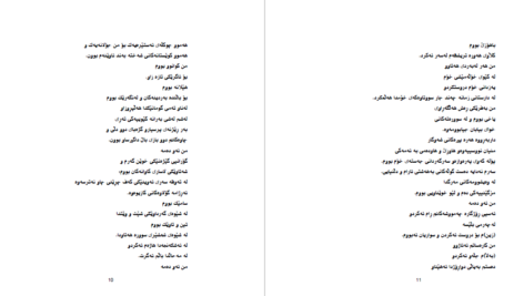 دانلود پی دی اف کتاب دیوانی شیرکو بیکه س PDF