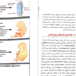 دانلود پی دی اف کتاب جنین شناسی لانگمن PDF