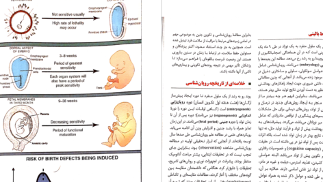دانلود پی دی اف کتاب جنین شناسی لانگمن PDF