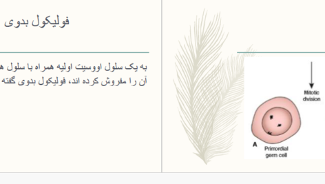 دانلود پی دی اف کتاب امبریولوژی استاد شیرین صفری PDF
