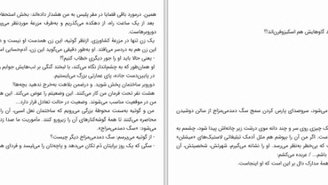 دانلود پی دی اف کتاب از هپروت تا دلدادگی انیس لودیگ PDF
