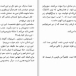 دانلود پی دی اف کتاب از هپروت تا دلدادگی انیس لودیگ PDF