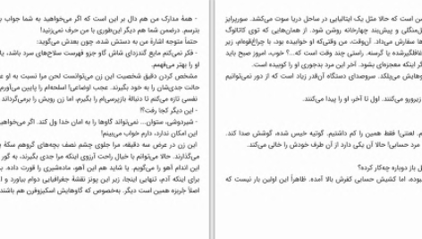 دانلود پی دی اف کتاب از هپروت تا دلدادگی انیس لودیگ PDF