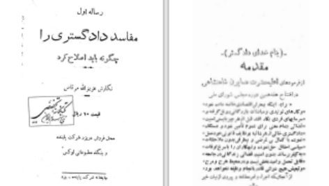 دانلود پی دی اف کتاب مفاسد دادگستری را چگونه باید اصلاح کرد عزیزالله مرتاض PDF