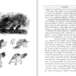 دانلود پی دی اف کتاب خوشه های خشم جان اشتاین بک PDF