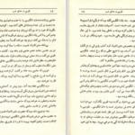 دانلود پی دی اف کتاب طوبی و معنای شب شهرنوش پارسی پور PDF