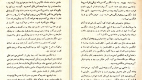 دانلود پی دی اف کتاب طوبی و معنای شب شهرنوش پارسی پور PDF