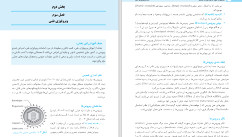 دانلود پی دی اف کتاب میکروبیولوژی طبی پوهنوال حاجی محمد نعیمی PDF
