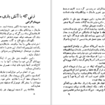 دانلود پی دی اف کتاب زرد های سرخ  هانری مارکانت PDF