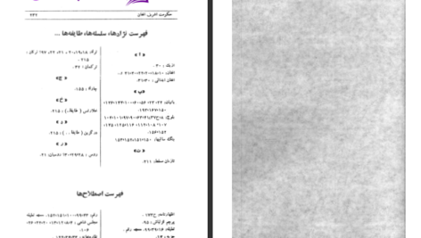 دانلود پی دی اف کتاب اشرف افغان بر تختگاه اصفهان ویلم فلور PDF