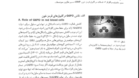دانلود پی دی اف کتاب بیوشیمی مصور لیپینکات PDF