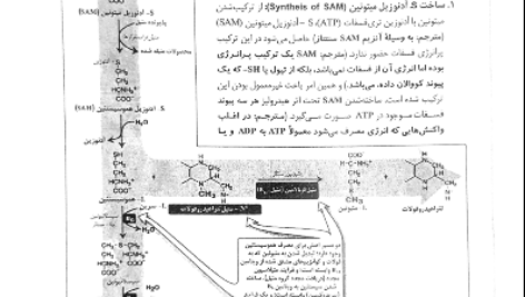 دانلود پی دی اف کتاب بیوشیمی مصور لیپینکات PDF