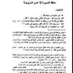 دانلود پی دی اف کتاب تحفة العروس محمود مهدی استانبولی PDF