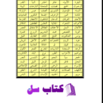 دانلود پی دی اف کتاب ترجمه معانی قرآن کریم محمد گل گمشاد زهی PDF