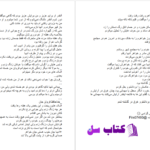 دانلود پی دی اف کتاب ادیب من فیریکس فروتن PDF