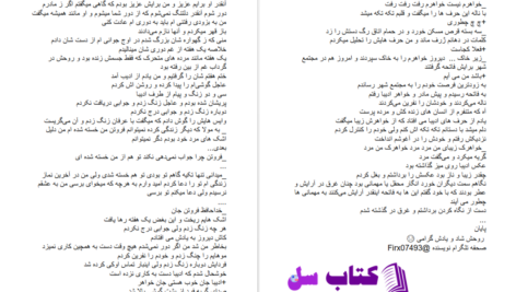 دانلود پی دی اف کتاب ادیب من فیریکس فروتن PDF
