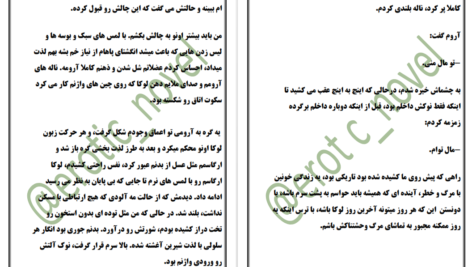 دانلود پی دی اف کتاب اسیر آبرو جلد اول کورا ریلی PDF