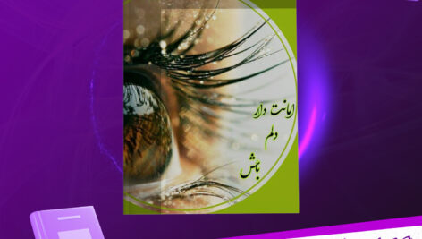 دانلود پی دی اف کتاب امانت دار دلم باش مریم‌ مؤیدی