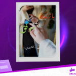 دانلود-پی-دی-اف-کتاب-بازنده-موفق-شکیب-نقشبندی