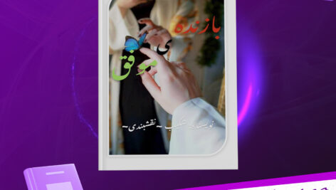 دانلود-پی-دی-اف-کتاب-بازنده-موفق-شکیب-نقشبندی