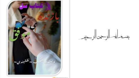 دانلود پی دی اف کتاب بازنده موفق شکیب نقشبندی PDF