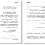 دانلود پی دی اف کتاب بازنده موفق شکیب نقشبندی PDF