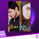 دانلود-پی-دی-اف-کتاب-بازی-های-روزگار-دینا-عمر