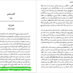 دانلود پی دی اف کتاب برادران کارامازوف جلد دوم فئودور داستایفسکی PDF
