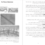 دانلود پی دی اف کتاب بیولوژی مالیکولی حجره بخش اول پوهنوال علی یوسف پور PDF