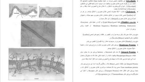 دانلود پی دی اف کتاب بیولوژی مالیکولی حجره بخش اول پوهنوال علی یوسف پور PDF