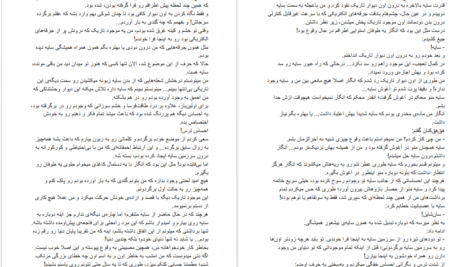 دانلود پی دی اف کتاب تبدیل شوندگان شیطانی سایه جلد دوم جیمین ایو PDF