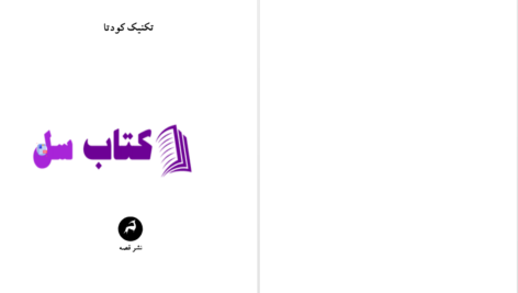 دانلود پی دی اف کتاب تکنیک کودتا کورتسیو مالاپارته PDF