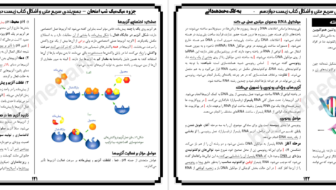 دانلود پی دی اف کتاب جزوه زیست دوازدهم شب امتحان میگ میگ PDF