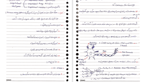 دانلود پی دی اف کتاب جزوه مبانی هوش محاسباتی PDF