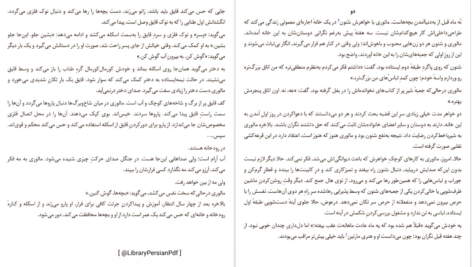 دانلود پی دی اف کتاب جعبه ی پرنده جاش ملرمن PDF