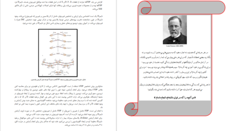دانلود پی دی اف کتاب دستور کار آزمایشگاه خون‌شناسی آزمایشگاه رفرانس قم PDF