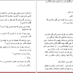 دانلود پی دی اف کتاب دلبر وحشی هوس عاشقی خطائی PDF