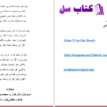 دانلود پی دی اف کتاب دلبر وحشی هوس عاشقی خطائی PDF