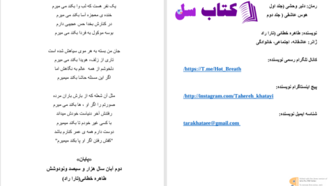 دانلود پی دی اف کتاب دلبر وحشی هوس عاشقی خطائی PDF