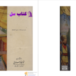 دانلود پی دی اف کتاب دلقکهای مشهور درباری حسین نوربخش PDF