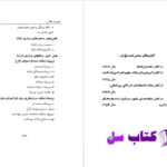 دانلود پی دی اف کتاب دلقکهای مشهور درباری حسین نوربخش PDF