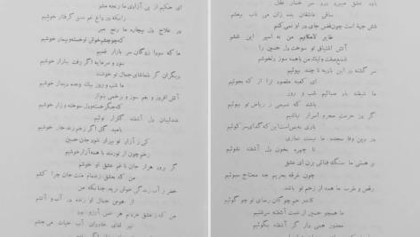 دانلود پی دی اف کتاب دیوان کامل منصور حلاج PDF