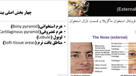 دانلود پی دی اف کتاب رینوپلاستی و سپتوپلاستی عباس خلیل پور PDF